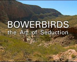 <span style='color:red'>园丁</span>鸟的魅力艺术 BBC Natural World Bowerbird The Art of Seduction