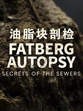 <span style='color:red'>油脂</span>块剖检：下水道里的秘密 Fatberg Autopsy: Secrets of the Sewers