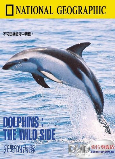 国家地理百年纪念： 狂野的海豚 国家地理百年纪念： 狂野的海豚 Dolphins : The Wild <span style='color:red'>Side</span>
