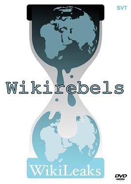 维基解密的抗争 WikiRebels: The Documentary