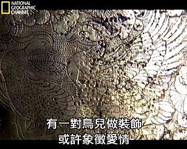唐代宝船之谜 Secrets of the Tang Treasure Ship