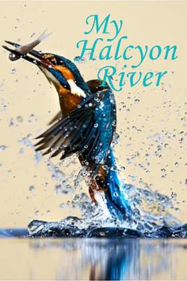 BBC 自然世界：翠鸟河 BBC The Natural World-My Halcyon River