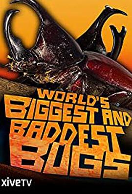 虫霸天下 World's Biggest and Baddest Bugs
