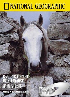 爱尔兰<span style='color:red'>骏马</span> Ballad of the Irish Horse