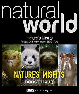 大自然里的奇怪动物 Nature's Misfits