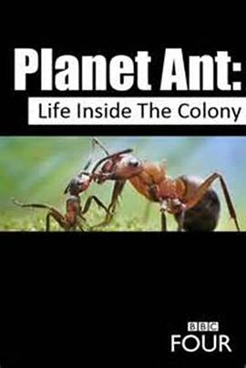 蚂蚁星球 Planet Ant: Life Inside the <span style='color:red'>Colony</span>