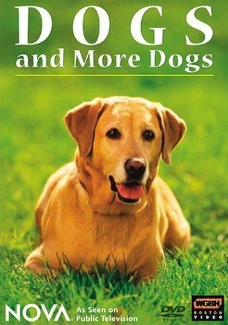 狗的<span style='color:red'>起</span>源与<span style='color:red'>演</span>化 Nova: Dogs and More Dogs