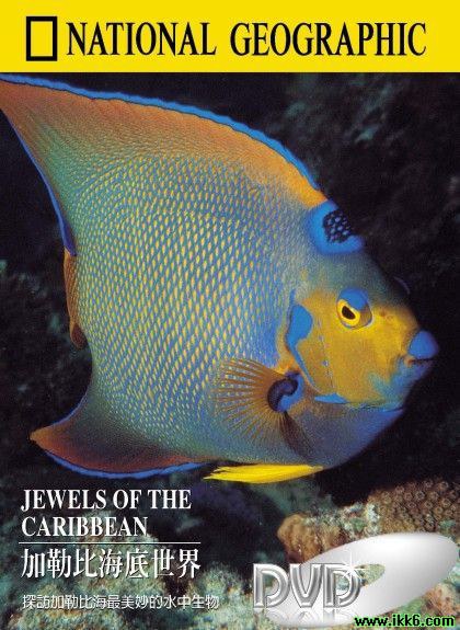 国家地理:加勒比海底世界 National Geographic Jewels Of The Carib<span style='color:red'>bea</span>n Sea