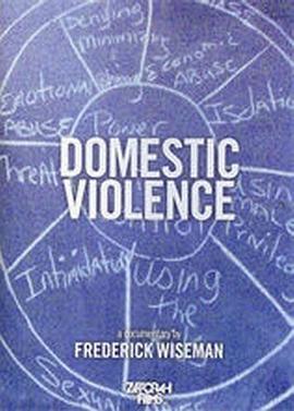 家庭暴力 <span style='color:red'>Domestic</span> Violence