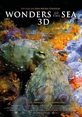 奇妙的海洋 Wonders of the Sea 3D