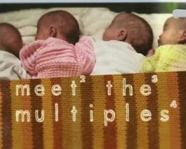 家<span style='color:red'>有</span>多胞胎 Meet the Multiples