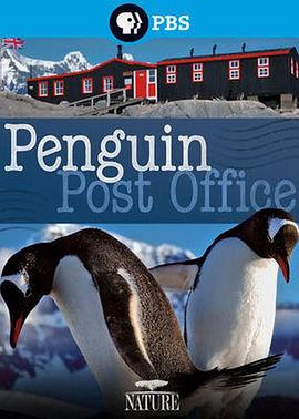 自然世界：企鹅邮局 Natural World - Penguin Post Office
