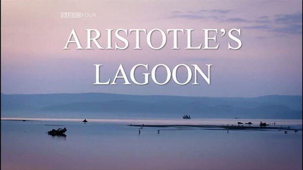 亚里士多德的泻湖 Aristotle's Lagoon