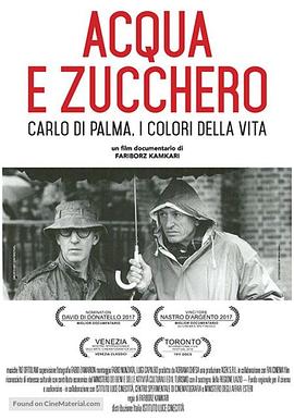 水与糖：摄影家卡洛·迪·帕尔马的生活与色彩 Acqua e zucchero: <span style='color:red'>Carlo</span> Di Palma, i colori della vita