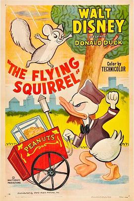 飞翔的松鼠 The Flying Squirrel