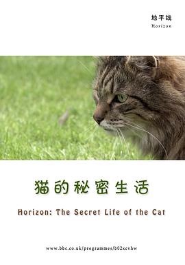 BBC地平线：猫的秘密生活 Horizon: The Secret Life of the Cat