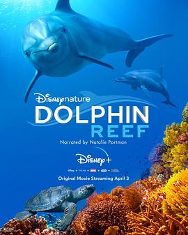<span style='color:red'>海</span><span style='color:red'>豚</span>礁 Dolphin Reef
