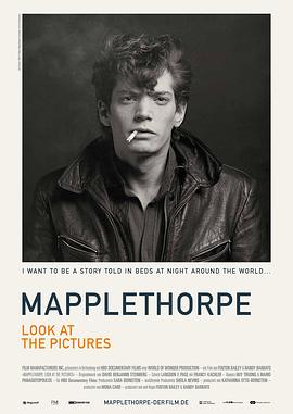 <span style='color:red'>罗伯特</span>·梅普勒索普：看看那些照片 Mapplethorpe: Look at the Pictures