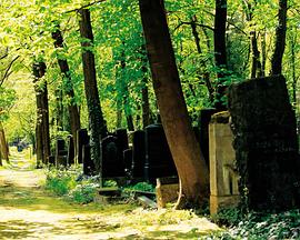 地下天堂 犹太公墓 <span style='color:red'>Im</span> Himmel, unter der Erde - Der jüdische Friedhof Weißensee