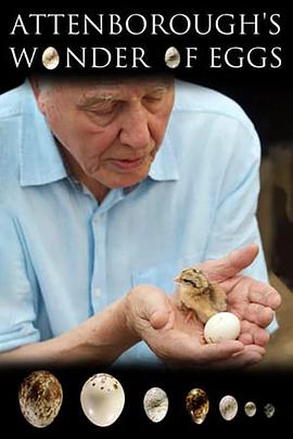 大卫爱登堡：蛋的奇迹 Natural World: Attenborough's Wonder of Eggs