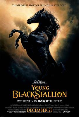 小黑马 The Young Black Stallion