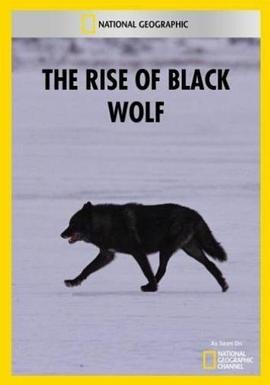 黑狼的崛<span style='color:red'>起</span> The Rise of Black Wolf