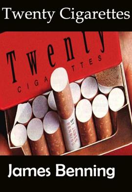 二十<span style='color:red'>支</span>烟 Twenty Cigarettes