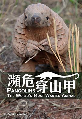 穿山甲：<span style='color:red'>被捕</span>杀最多的动物 Pangolins: The World's Most Wanted Animal