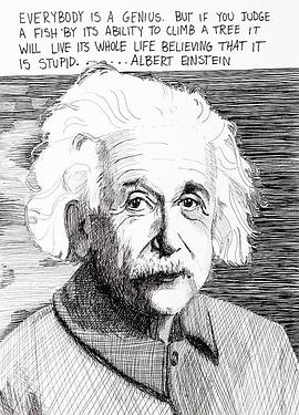 爱因斯坦的大脑 Einstein's genius