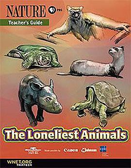 最孤独的动物 The Loneliest Animals