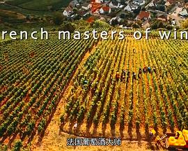 法国<span style='color:red'>葡</span><span style='color:red'>萄</span>酒大师 French Masters of Wine