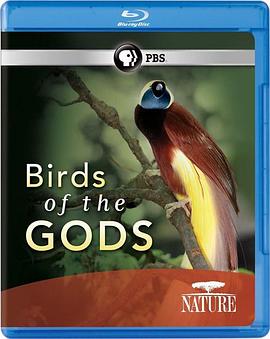 天堂鸟 Nature: Birds of the Gods