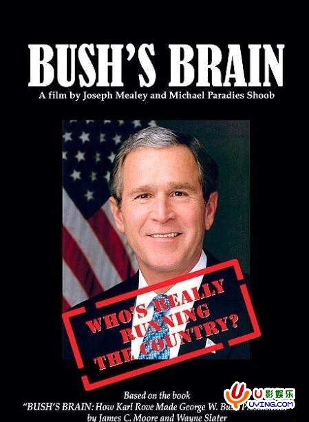 布什的脑袋 bush's brain