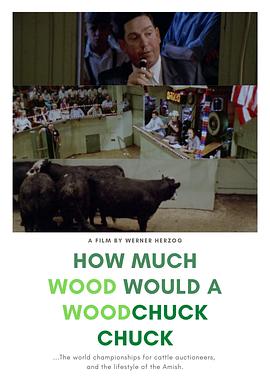 一只土拨鼠能啃掉多少木头 How much Wood would a Woodchuck chuck... - Beobachtungen zu einer neuen Sprache