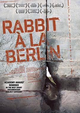 柏林墙的野<span style='color:red'>兔 Rabbit</span> à la Berlin