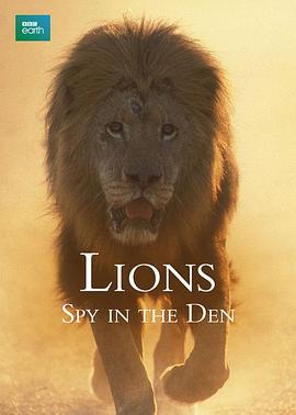 狮：兽穴中的窥探 Lions: Spy In The Den