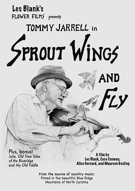 展翅飞翔 Sprout Wings and Fly