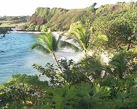 世界上最美丽的地方：夏威夷 Living Landscapes: Hawaii