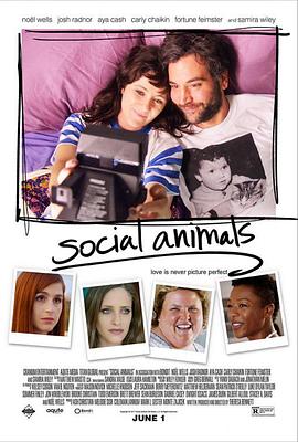 社交动物 Social Animals
