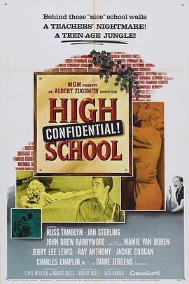 中学机密 High School Confidential!
