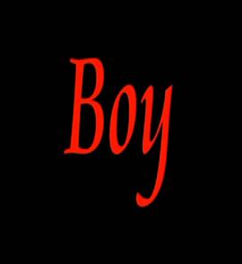 男孩的生活 Boy