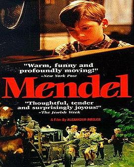 门德尔 Mendel