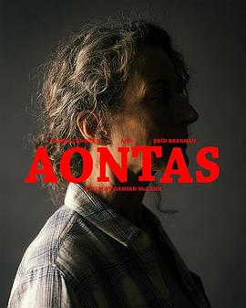 挫败的人生劫案 Aontas